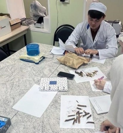 Студенты-фармацевты Астраханского ГМУ освоили контроль качества лекарственных трав на современном оборудовании