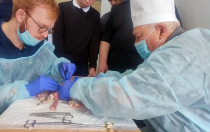 Для ординаторов-хирургов прошёл мастер-класс по резекции желудка