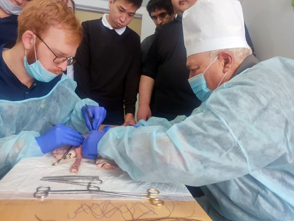 Для ординаторов-хирургов прошёл мастер-класс по резекции желудка