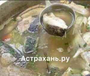 Как избежать пищевых отравлений рассказала доцент Астраханского ГМУ