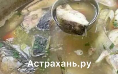 Как избежать пищевых отравлений рассказала доцент Астраханского ГМУ
