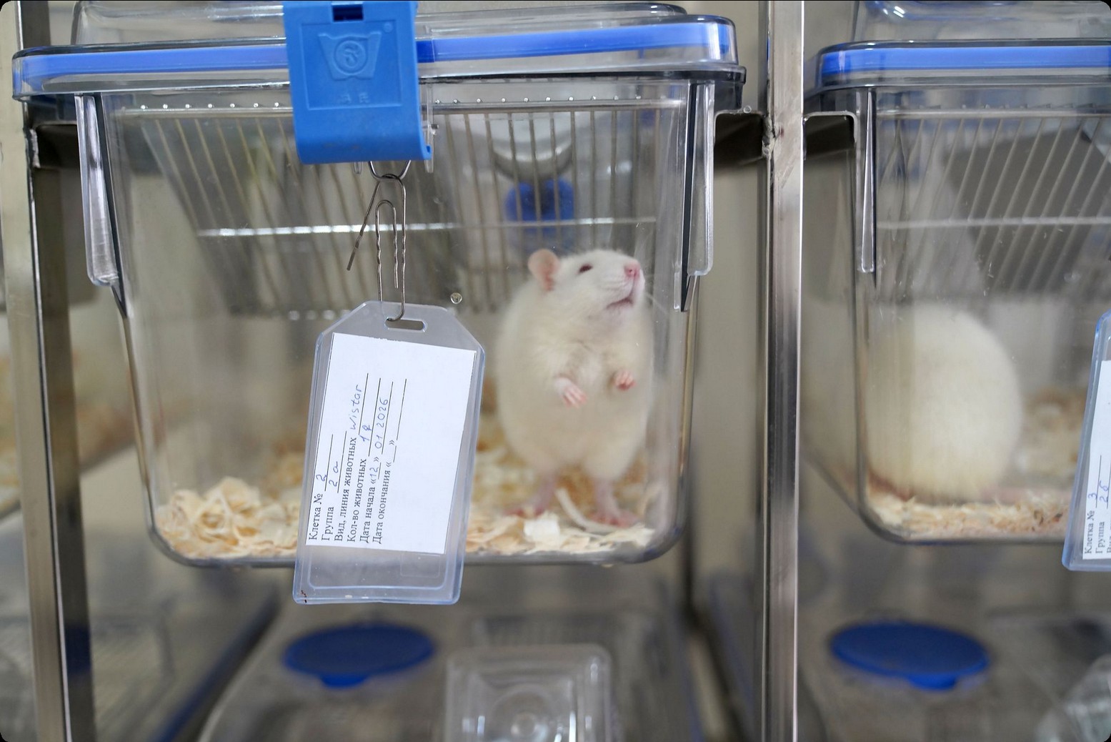 Preclinical research laboratory